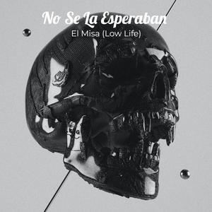 No Se La Esperaban