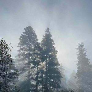 黄海之滨我家乡