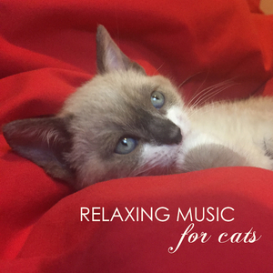 Bagatelle No. 25 in A Minor "Für Elise"