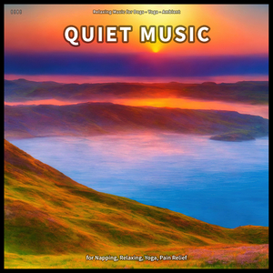 Quiet Music