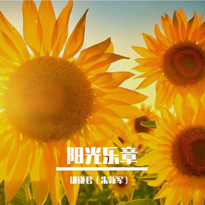 阳光乐章