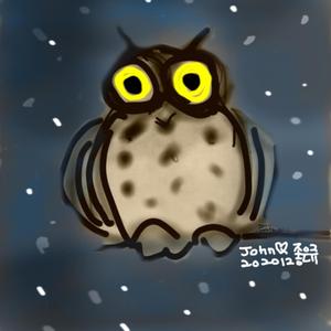 부엉부엉 겨울밤