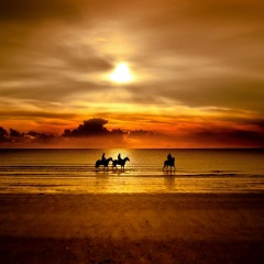 火热的吻冰凉的泪 (混音版)