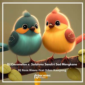 DJ Cocomelon x Salahmu Sendiri Sad Mengkane