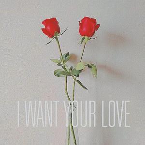 I WANT YOUR LOVE