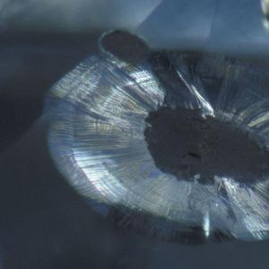 Suzerain（领主）