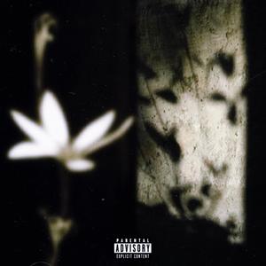 Plaques (feat. Mozartt)