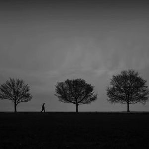 很难过又很难说（悲喜两难）