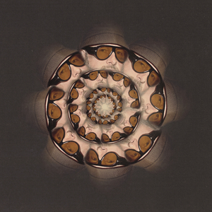 I Was the Wolf (Original Mix)