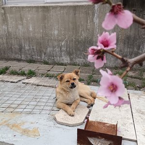 晚安（prod By ATTBEAT/ATTStudio星）