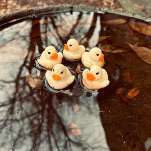 Looking For Life (In All the Wrong Places)