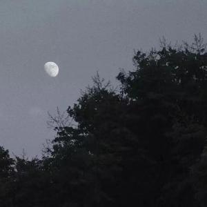 这一生关于你的风景 (1)_mix