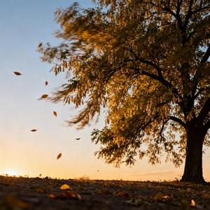 你是我割舍的人