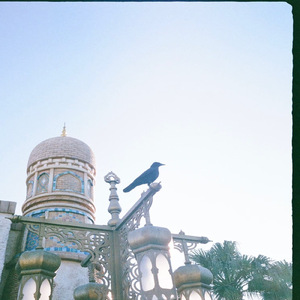 才能 (First Version)