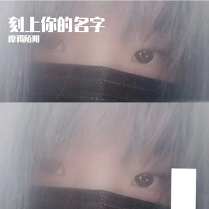 做你的月光（修音版）- 摩羯陌阳