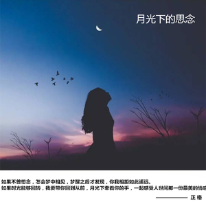 月光的思念 （长笛）