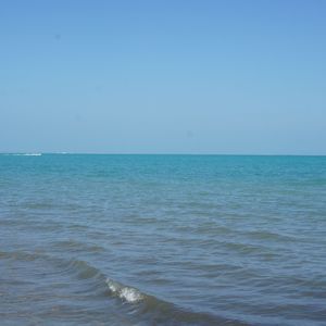 Memory Sharing;loop@onesharkboy & @malikaix8