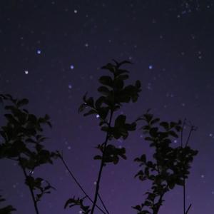 装得好可怜(Demo)