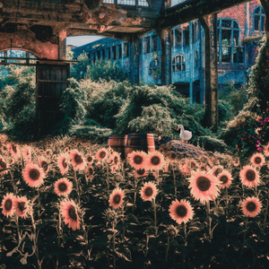 Big Ego (Rodney Dinkles Remix)