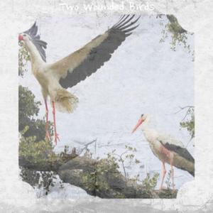 I'll Put It in Other Words