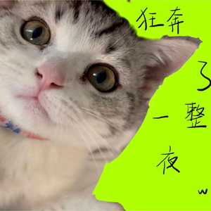 我的猫狂奔了一整夜（cover:hanser/洛天依）