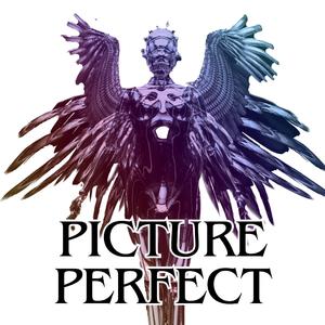 Picture Perfect