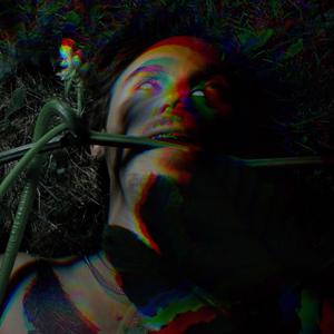 To My Grave (Single Version)