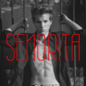 Señorita