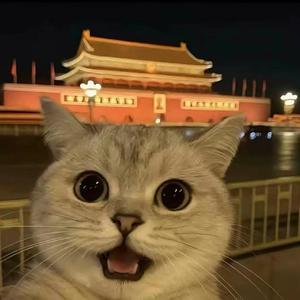 希望听到你说嗨
