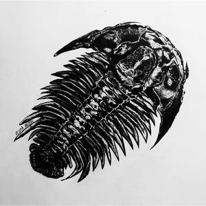 Trilobite