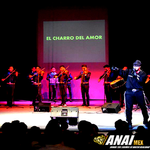 Soltero por Vocación (En Vivo)