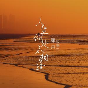 人生何处不相逢 (DJ氛围版)