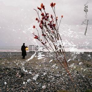 边错边爱（总是到失去后才明白）