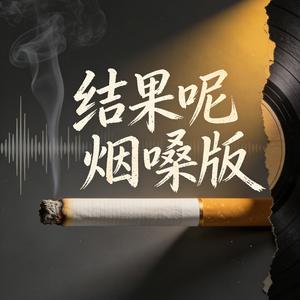 结果呢烟嗓版.mp3