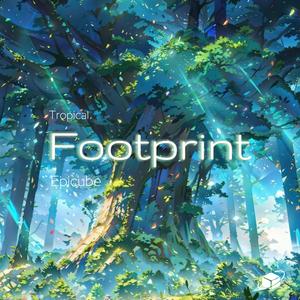 Footprint