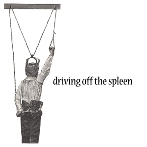 Red Bird Perched in Winter