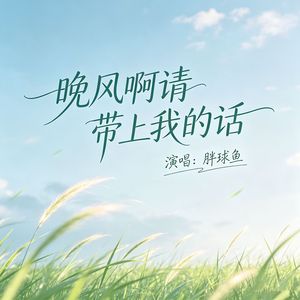 晚风啊请带上我的话(DJ阿默版伴奏)