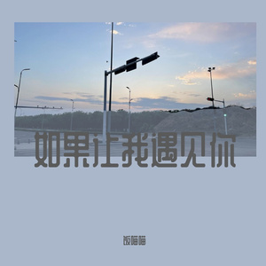 如果让我遇见你