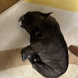 夢を追う人々へ