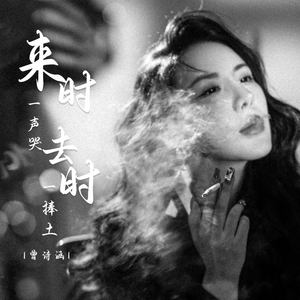 来时一声哭 去时一捧土