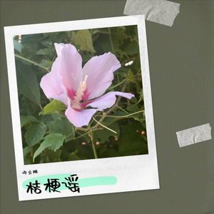桔梗谣