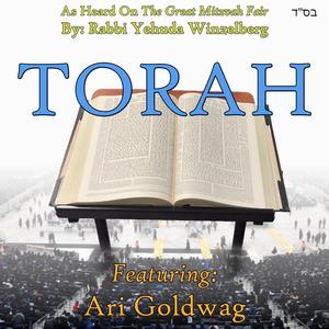 Torah (feat. Ari Goldwag)