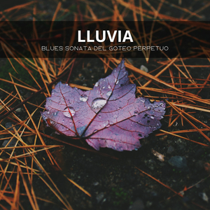 Ducha De Lluvia Mañana