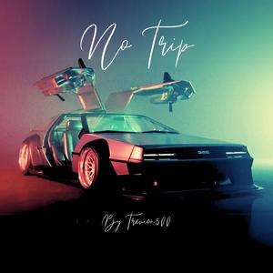 No Trip