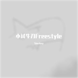 小试牛刀Freestyle