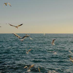 独行侠➕爱如潮水