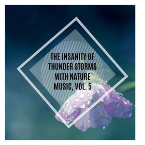 Wild Synth of Soft Rain