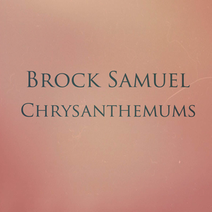 Chrysanthemums