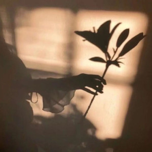 你拿什么来爱我