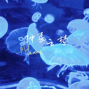 仲夏之梦(prod.by Morrow x ayoleybeats)